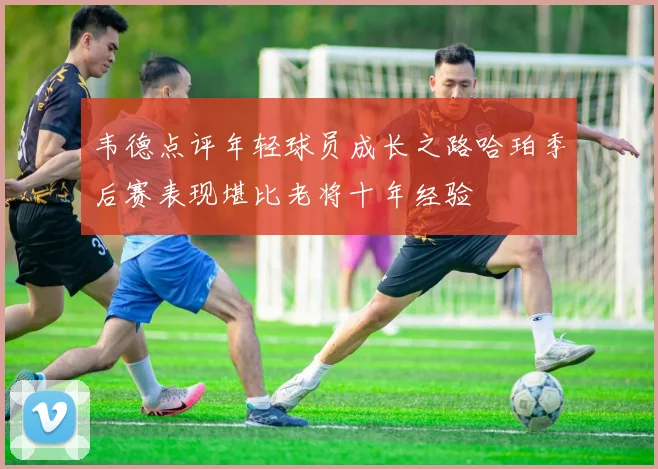韦德点评年轻球员成长之路哈珀季后赛表现堪比老将十年经验
