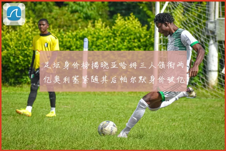 足坛身价榜揭晓亚哈姆三人领衔两亿奥利塞紧随其后帕尔默身价破亿