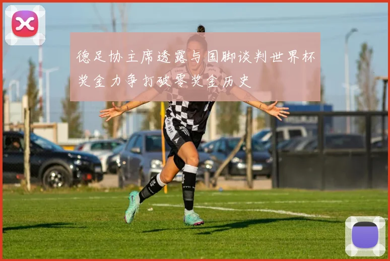 德足协主席透露与国脚谈判世界杯奖金力争打破零奖金历史